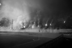 DSC_6222-Kopie